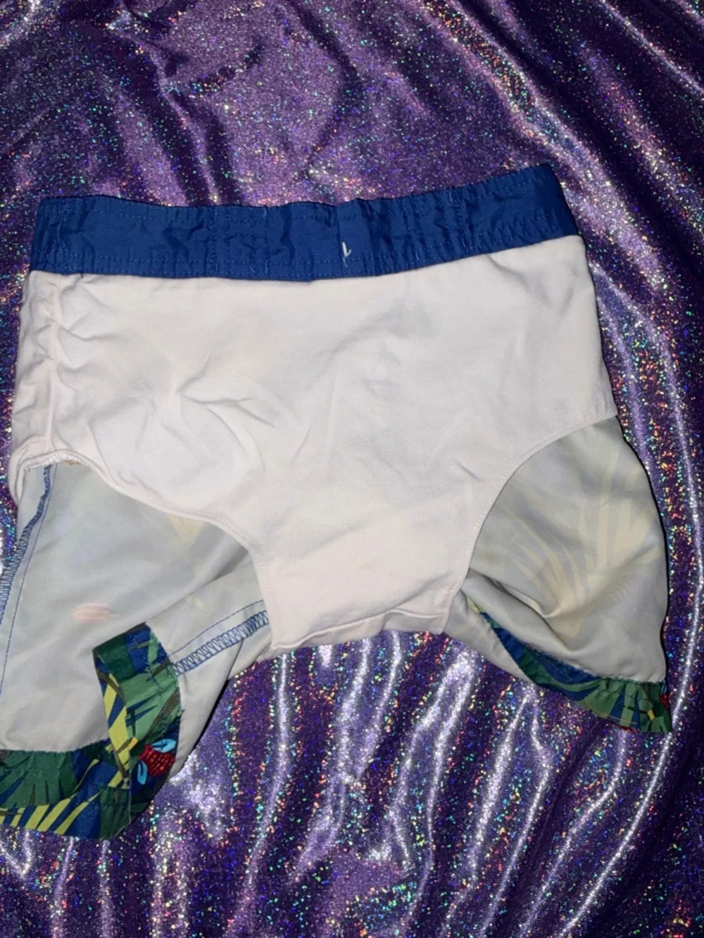 Boys Gymboree Bugs Swim Trunks